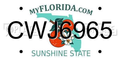 CWJ6965 Florida License Plate