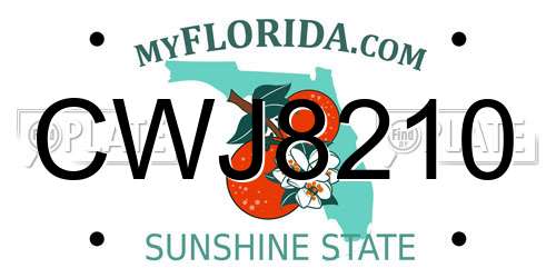 CWJ8210 Florida License Plate