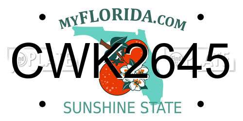 CWK2645 Florida License Plate