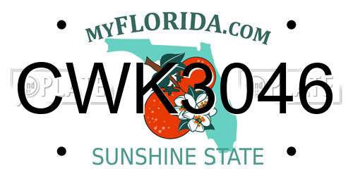 CWK3046 Florida License Plate