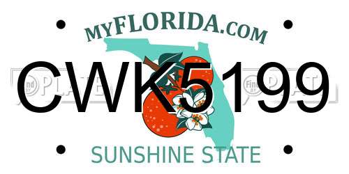 CWK5199 Florida License Plate