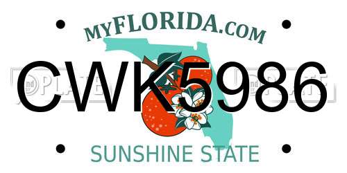 CWK5986 Florida License Plate