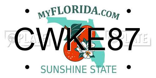 CWKE87 Florida License Plate