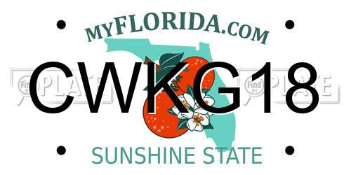 CWKG18 Florida License Plate