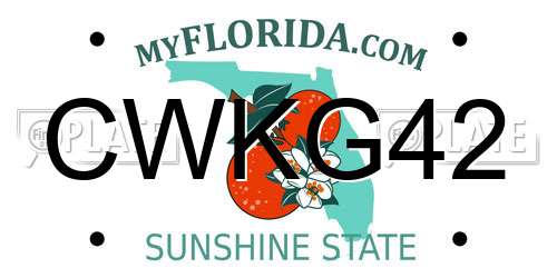 CWKG42 Florida License Plate