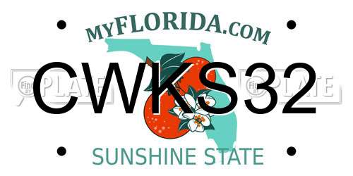 CWKS32 Florida License Plate