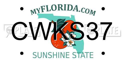 CWKS37 Florida License Plate