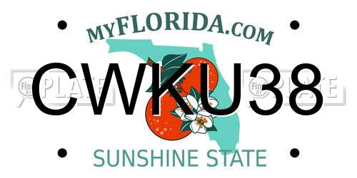 CWKU38 Florida License Plate