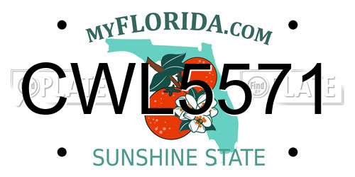 CWL5571 Florida License Plate