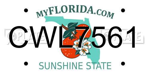CWL7561 Florida License Plate