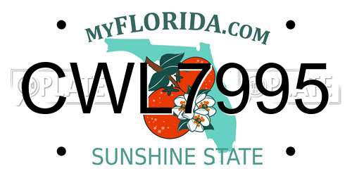 CWL7995 Florida License Plate