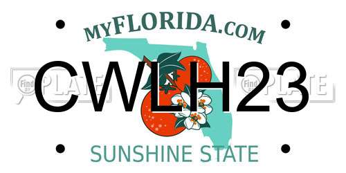CWLH23 Florida License Plate