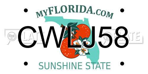 CWLJ58 Florida License Plate