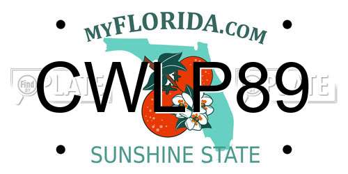 CWLP89 Florida License Plate