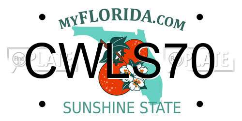 CWLS70 Florida License Plate