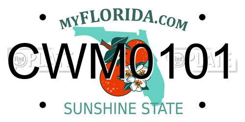CWM0101 Florida License Plate