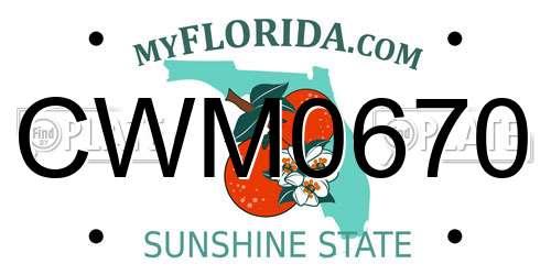 CWM0670 Florida License Plate