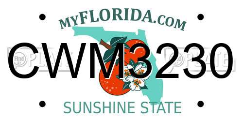CWM3230 Florida License Plate