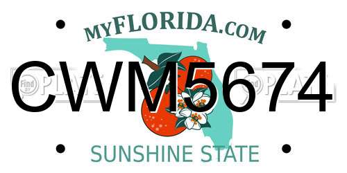 CWM5674 Florida License Plate