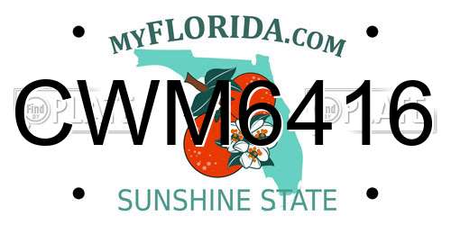 CWM6416 Florida License Plate