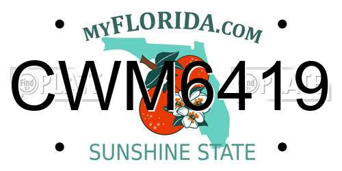 CWM6419 Florida License Plate