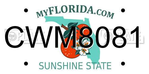 CWM8081 Florida License Plate