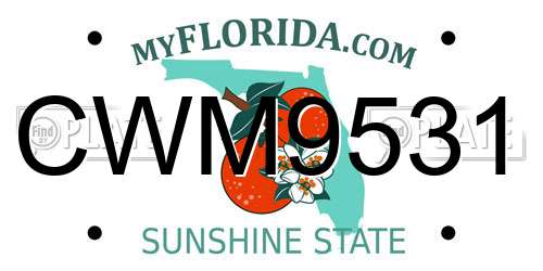 CWM9531 Florida License Plate