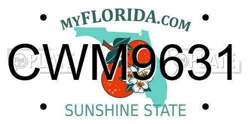 CWM9631 Florida License Plate
