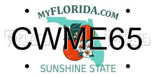 CWME65 Florida License Plate