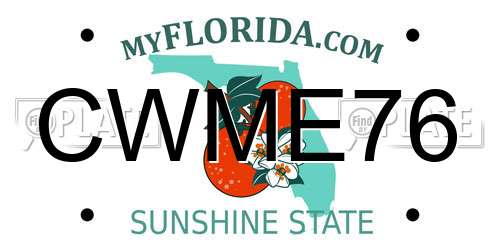 CWME76 Florida License Plate