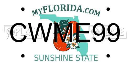 CWME99 Florida License Plate