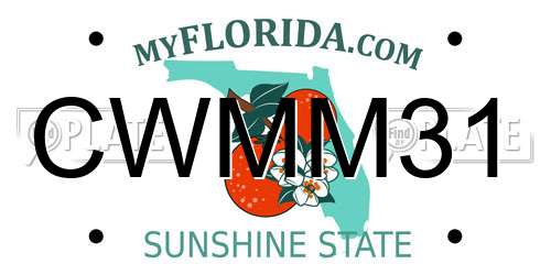 CWMM31 Florida License Plate