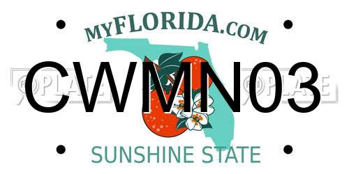 CWMN03 Florida License Plate
