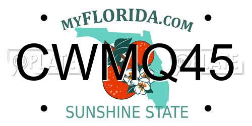 CWMQ45 Florida License Plate