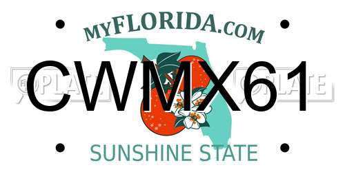 CWMX61 Florida License Plate
