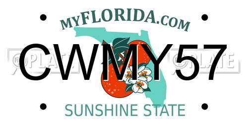 CWMY57 Florida License Plate