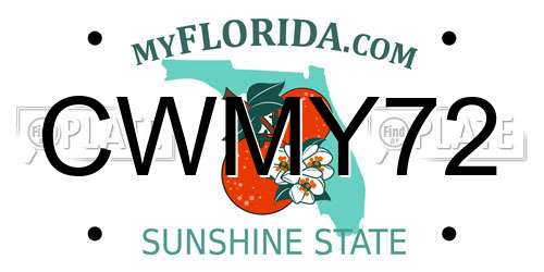 CWMY72 Florida License Plate