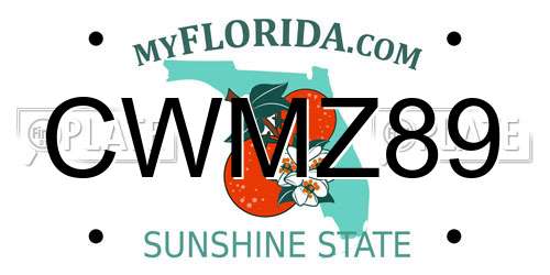 CWMZ89 Florida License Plate