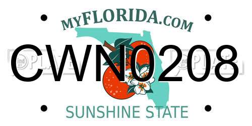 CWN0208 Florida License Plate