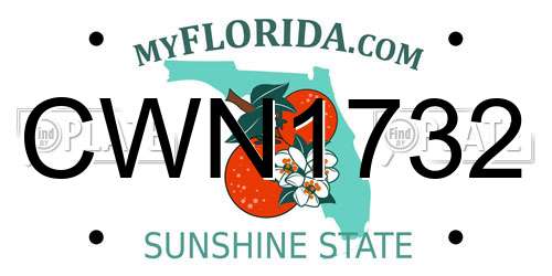CWN1732 Florida License Plate