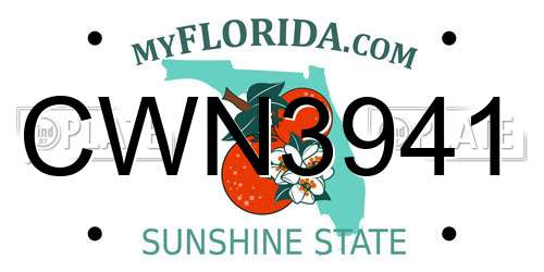 CWN3941 Florida License Plate