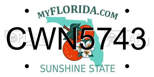 CWN5743 Florida License Plate
