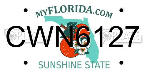 CWN6127 Florida License Plate