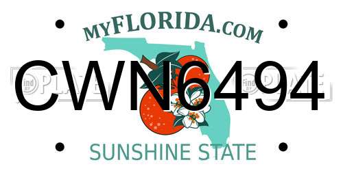 CWN6494 Florida License Plate