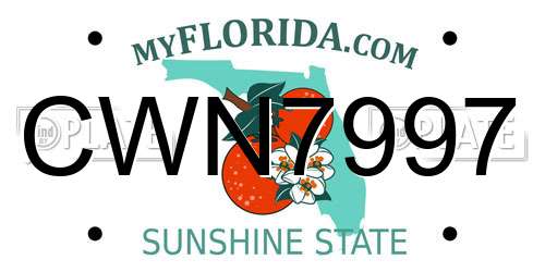 CWN7997 Florida License Plate