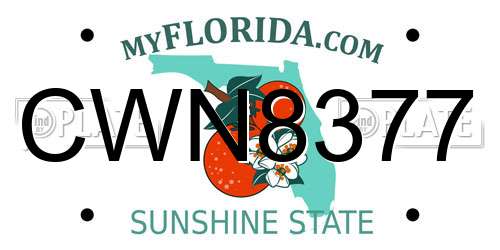 CWN8377 Florida License Plate