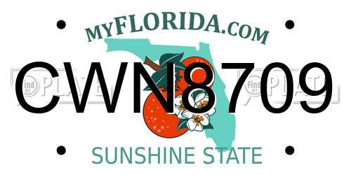 CWN8709 Florida License Plate