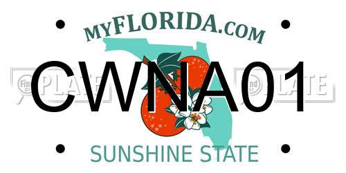 CWNA01 Florida License Plate