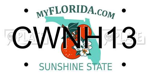 CWNH13 Florida License Plate