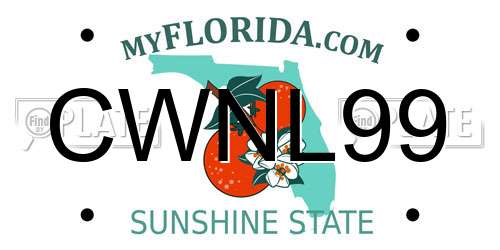 CWNL99 Florida License Plate